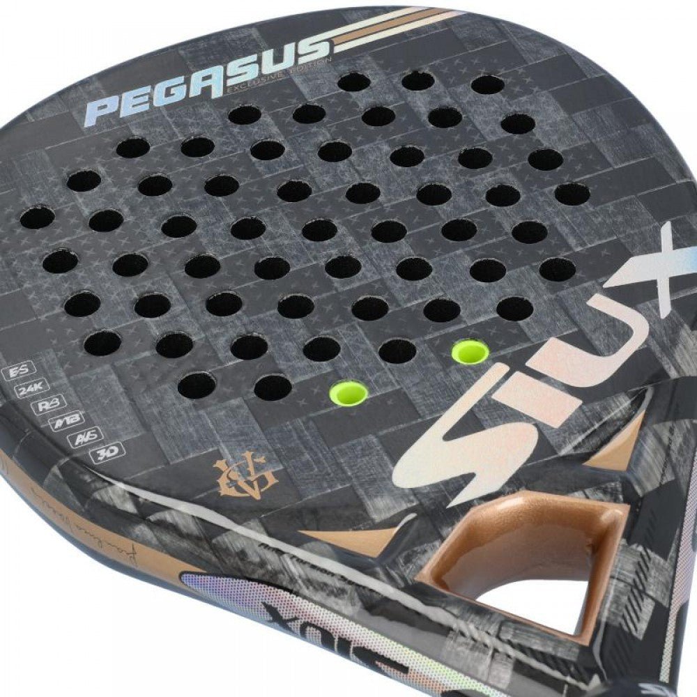 Padelio Raketė Siux Pegasus Gv Edition - Servuok